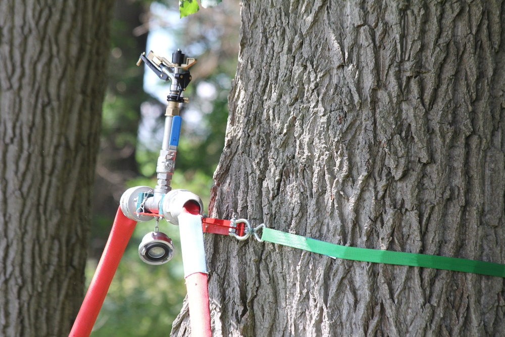 Irrigatore iconos® per montaggio su albero