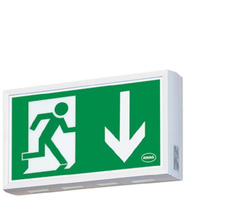 Luce di emergenza, scocca in ABS, per montaggio a soffitto con cavo - AWKL-S-013-AT