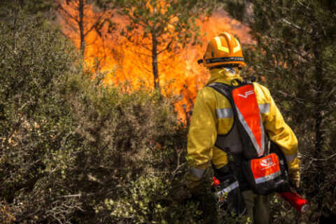 Incendio boschivo di Vallfirest