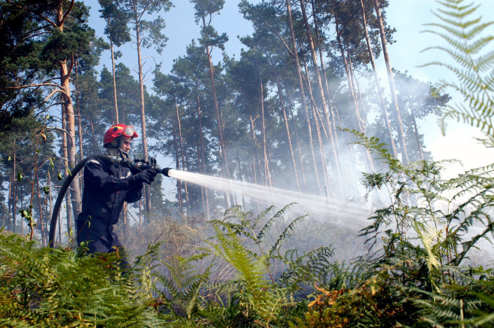 Agente estinguente a schiuma BIO FOR N di BIOEX