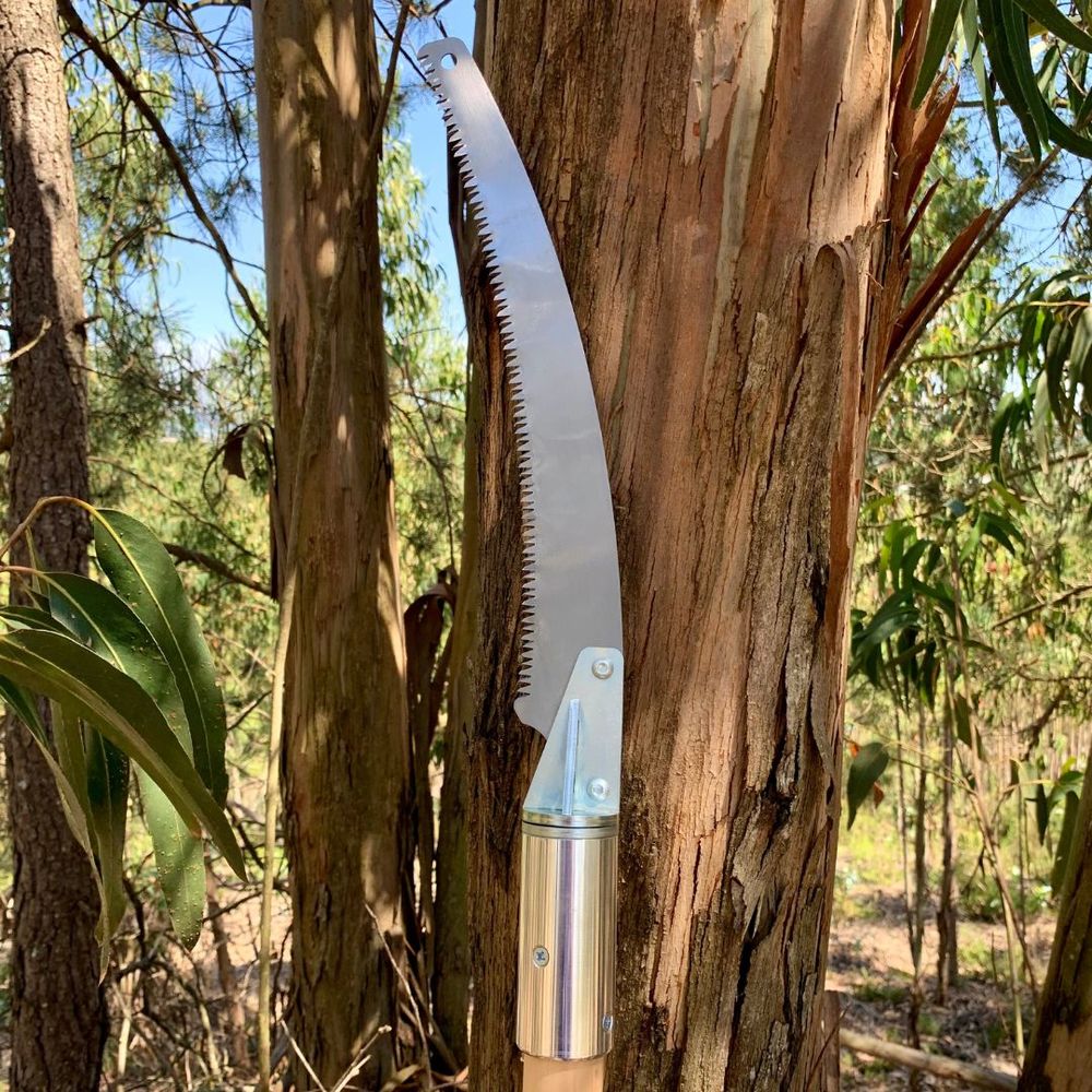 Sega per rami da incendio boschivo Sega con manico in legno di OMNISFERA